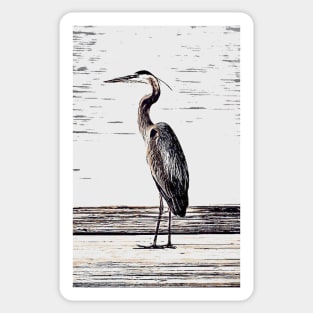 Great Blue Heron Sticker